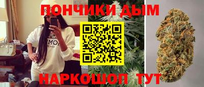 шишки Кандалакша