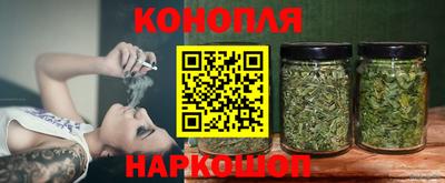 шишки Кандалакша