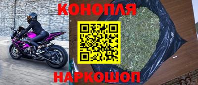 шишки Кандалакша