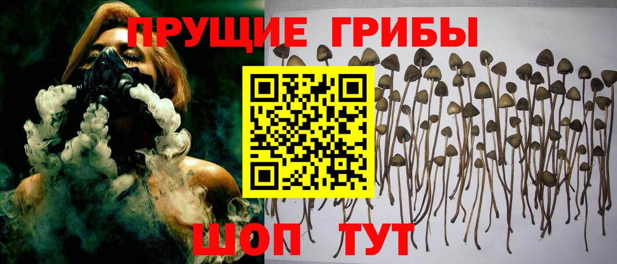 Псилоцибиновые грибы ЛСД Владивосток