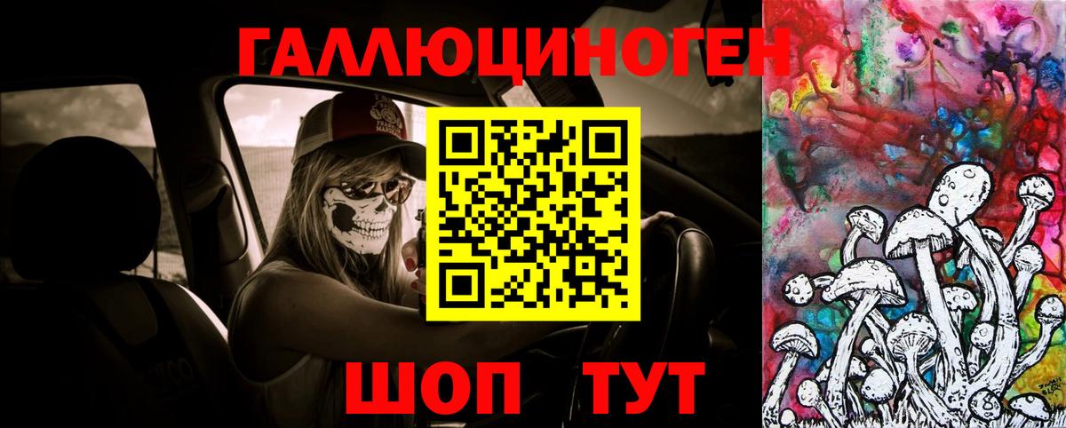 Галлюциногенные грибы MAGIC MUSHROOMS  Псилоцибиновые грибы Magic Shrooms  Владивосток  Вход с VPN 